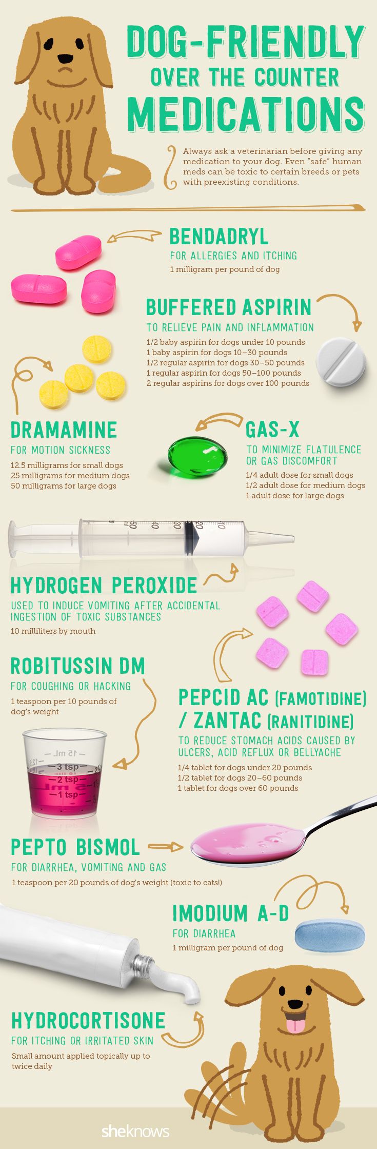 Household Medications For Pets Chart
